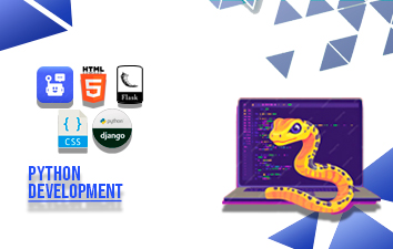 Python Development