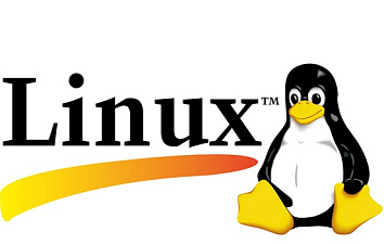 Linux Базовый курс. 