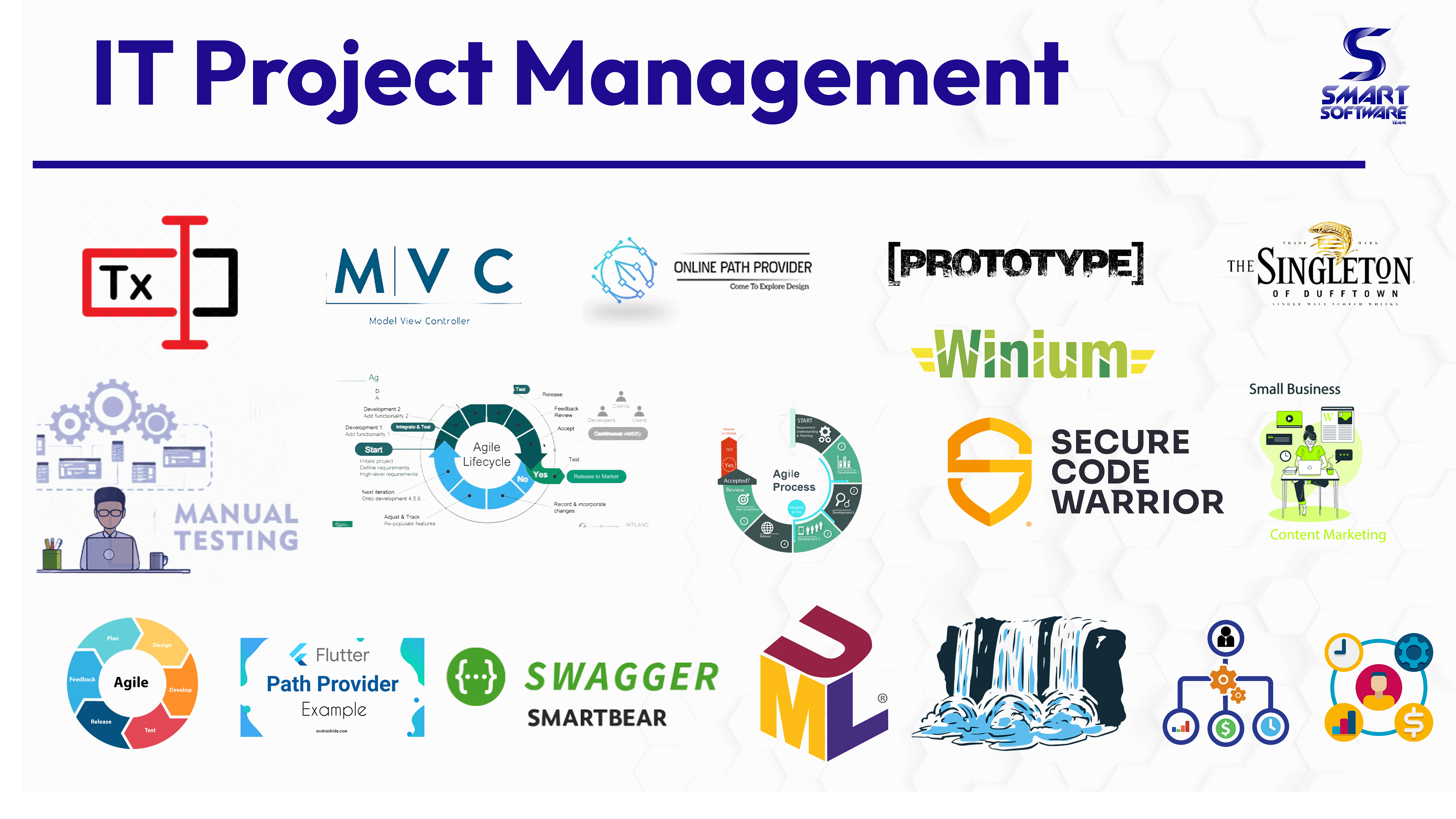 IT Project Management (IT PM)