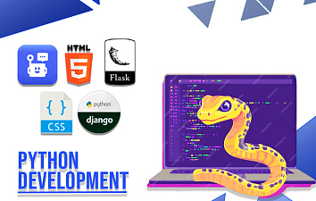 Python Development